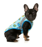 Avo Great Day -  Cooling Dog Vest by FuzzYard. Keep your pet COOL & COMFY with FuzzYard's Cooling Vest!