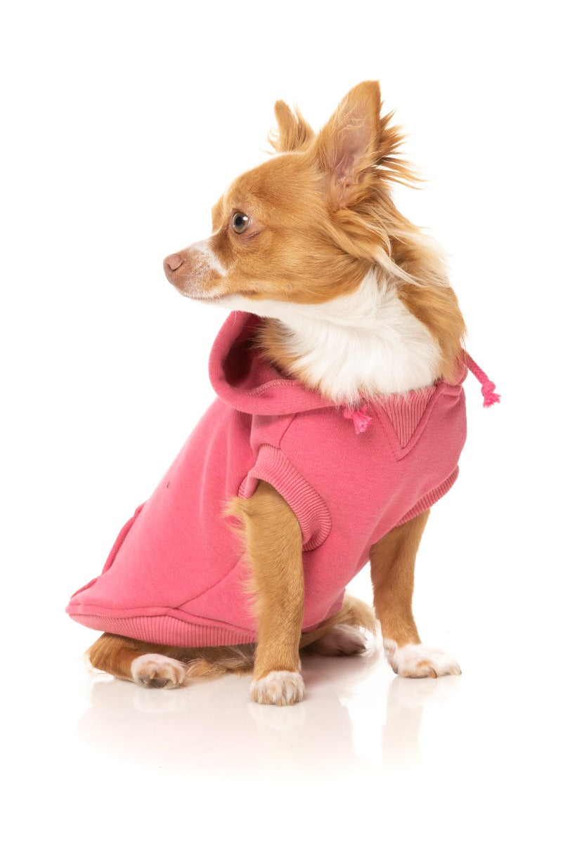 Wooftagram Hoodie - Pink by Fuzzyard