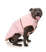 Ivanhoe Jacket - Pink by Fuzzyard