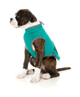 Fitzroy Jacket - Green by Fuzzyard