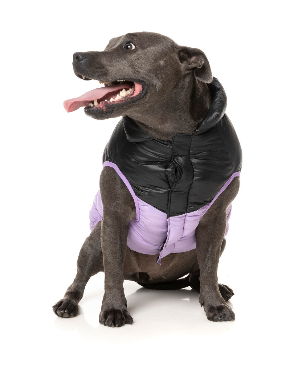 South Harlem Jacket - Lilac by Fuzzyard