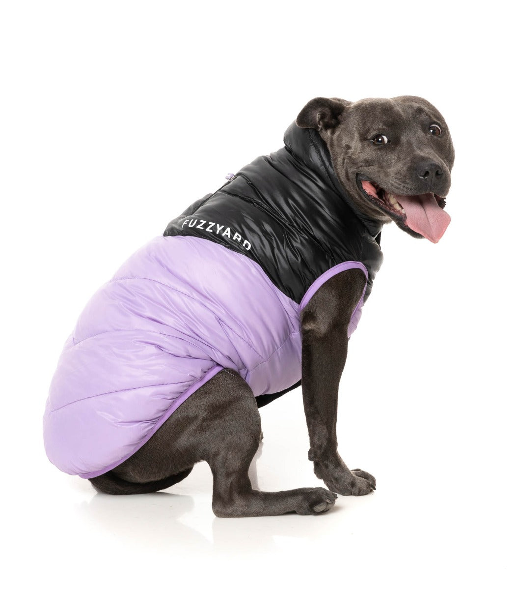 South Harlem Jacket - Lilac by Fuzzyard