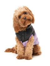 South Harlem Jacket - Lilac by Fuzzyard