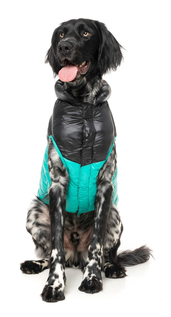 South Harlem Jacket - Teal by Fuzzyard
