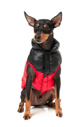 South Harlem Jacket - Red by Fuzzyard