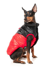 South Harlem Jacket - Red by Fuzzyard