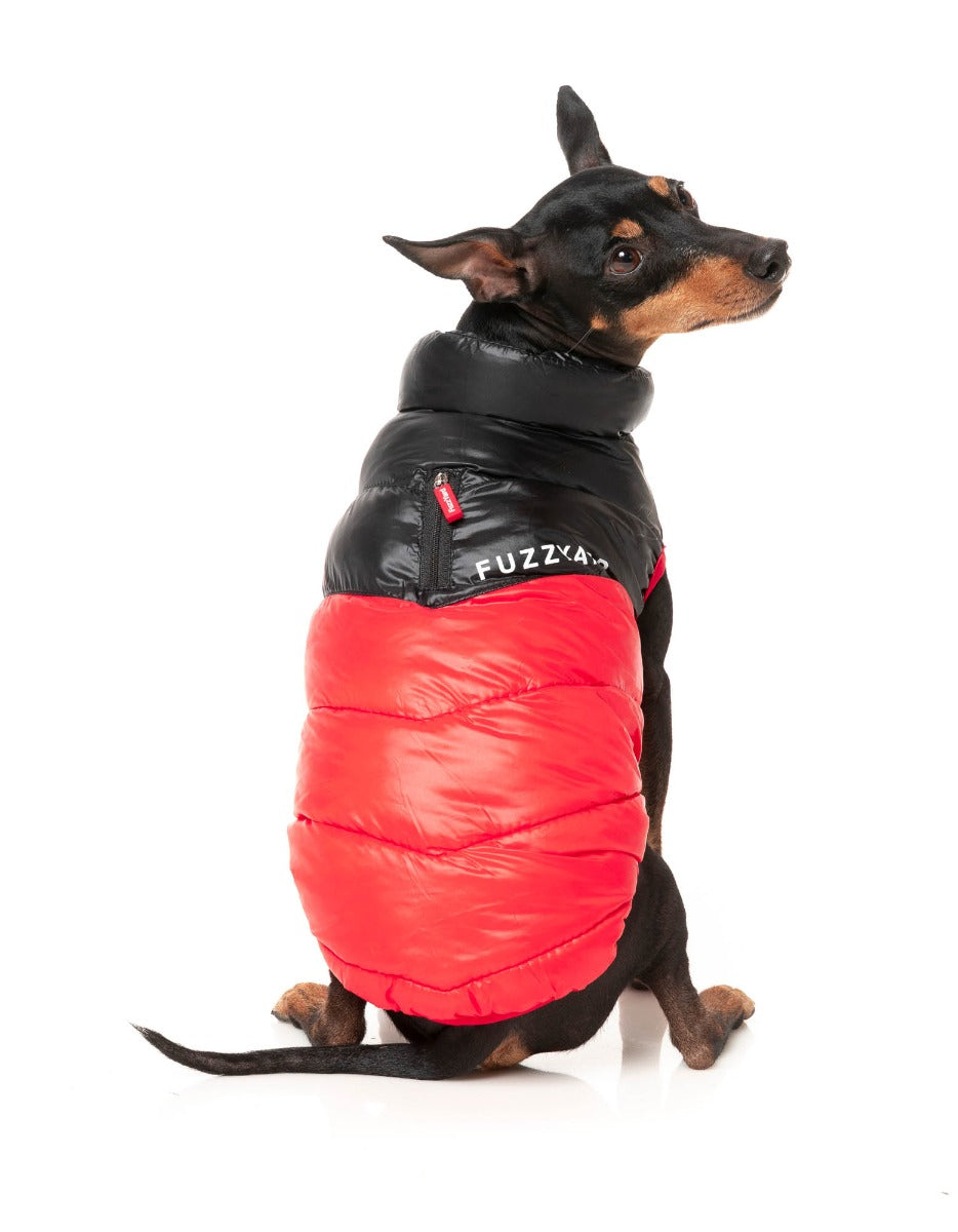 South Harlem Jacket - Red by Fuzzyard