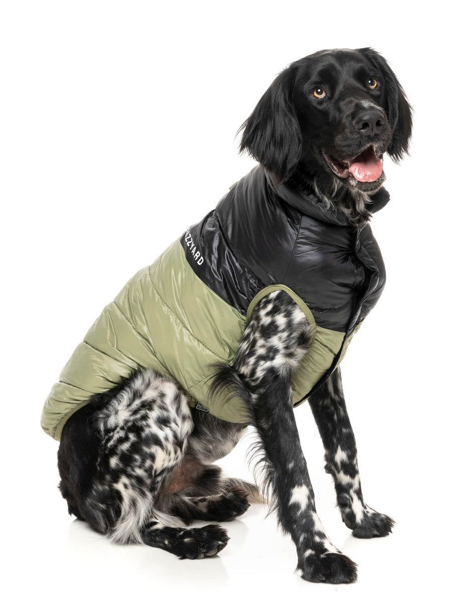 South Harlem Jacket - Olive by Fuzzyard