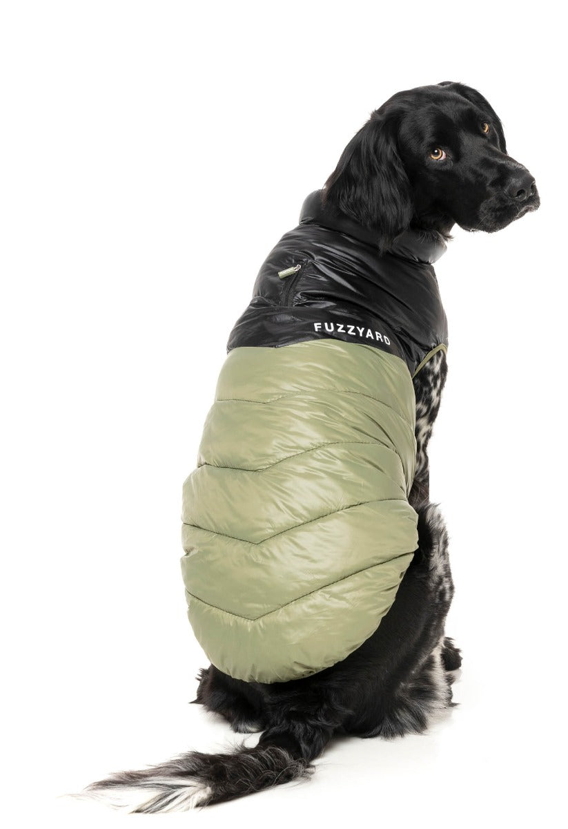 South Harlem Jacket - Olive by Fuzzyard