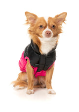 South Harlem Jacket - Pink by Fuzzyard