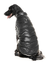 Milano Jacket - Black by Fuzzyard