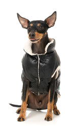 Milano Jacket - Black by Fuzzyard