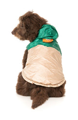 Ormond Raincoat - Green/Beige by Fuzzyard