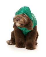 Ormond Raincoat - Green/Beige by Fuzzyard