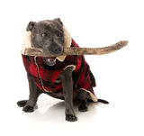 The Lumberjack 25 Jacket by FuzzYard