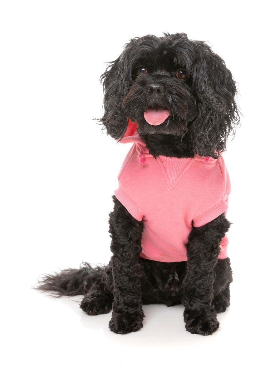 Flash Hoodie - Pink by FuzzYard