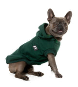 Flash Hoodie - Green by FuzzYard