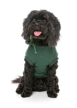 Flash Hoodie - Green by FuzzYard