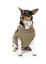 Flash Jacket - Khaki by FuzzYard