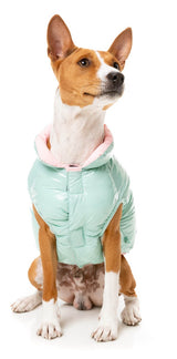 Amor Puffer Jacket - Mint by FuzzYard