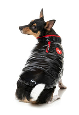 Amor Puffer Jacket - Black by FuzzYard