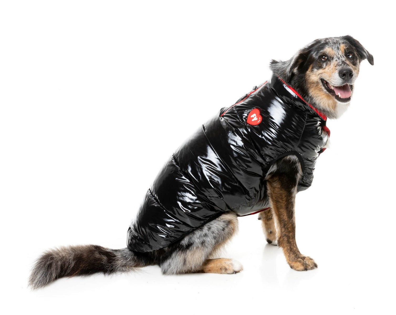 Amor Puffer Jacket - Black by FuzzYard