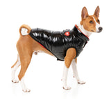 Amor Puffer Jacket - Black by FuzzYard