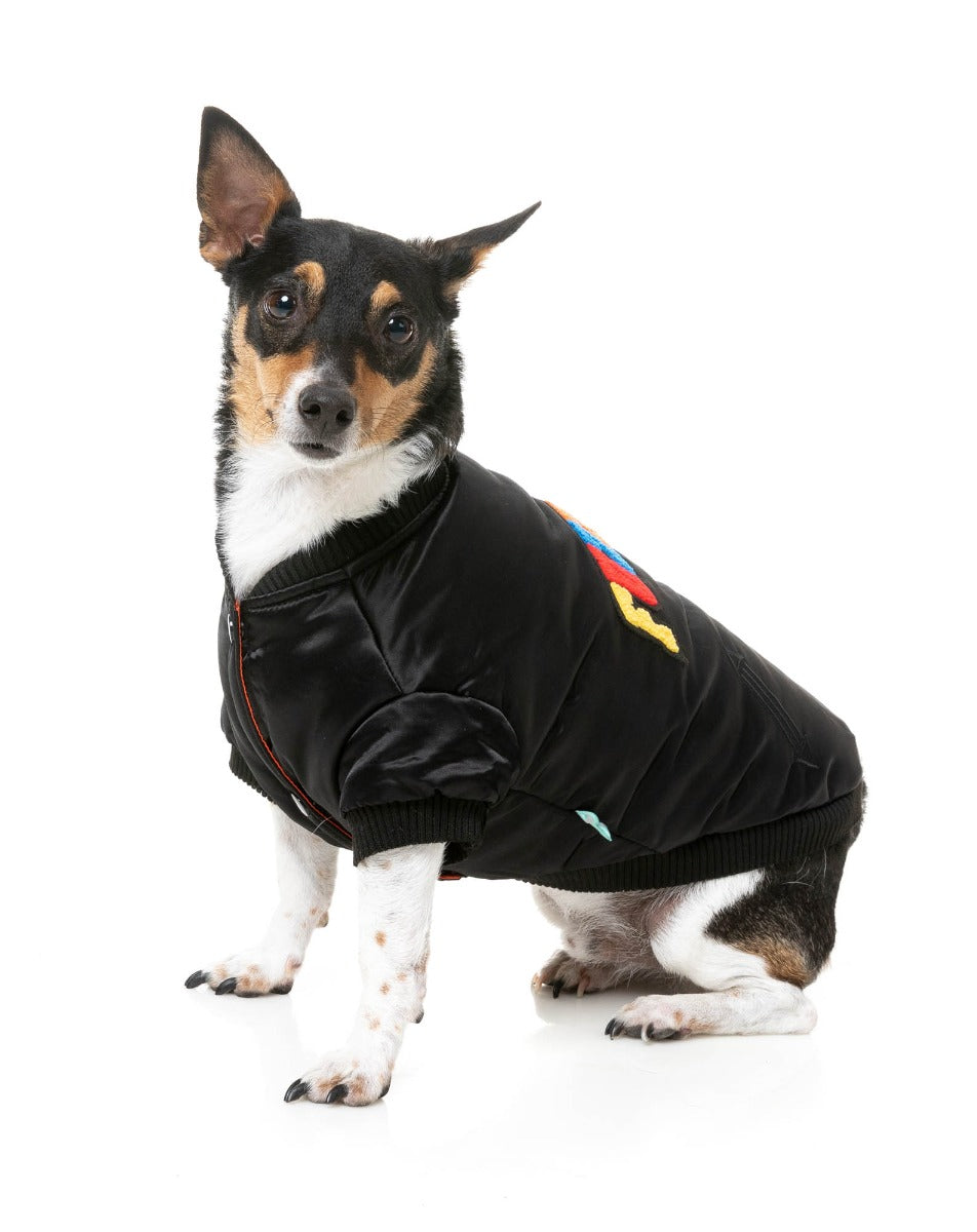 Frat Jacket - Black by FuzzYard