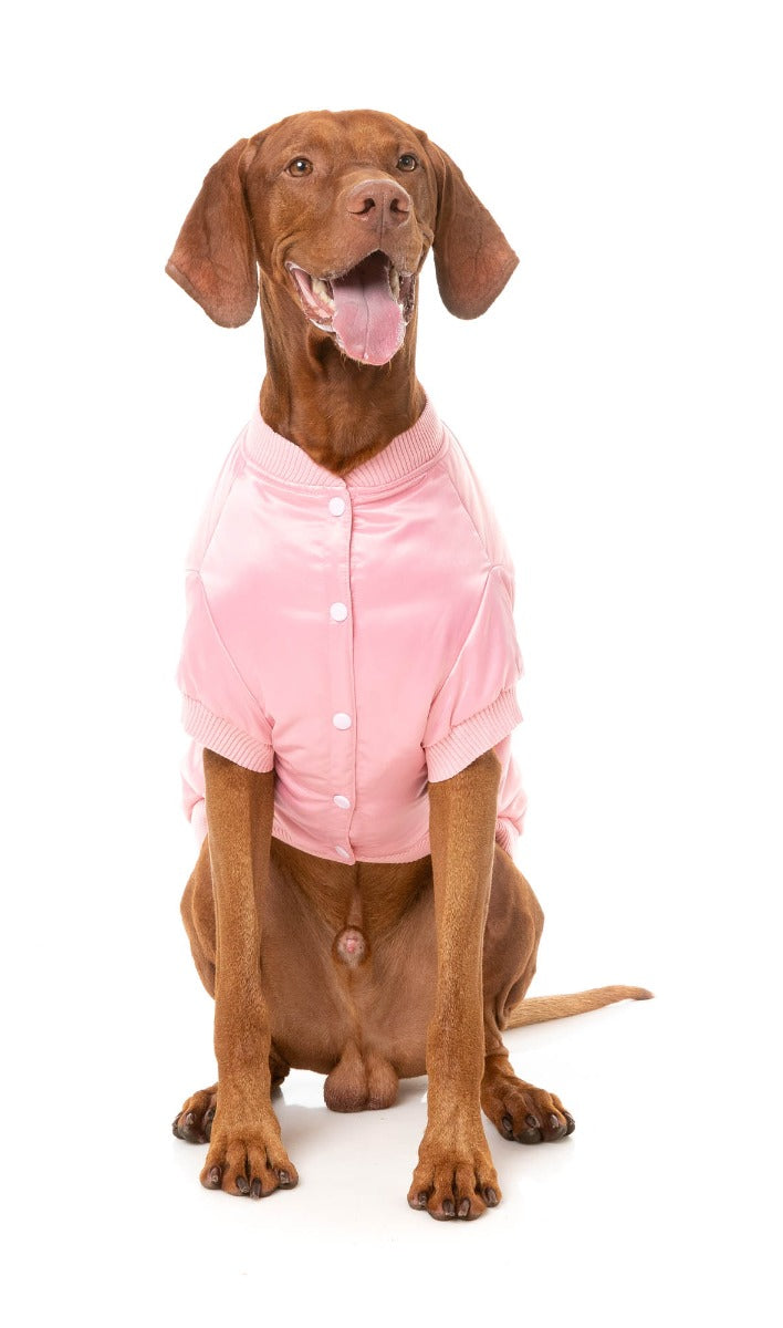 Frat Jacket - Pink by FuzzYard