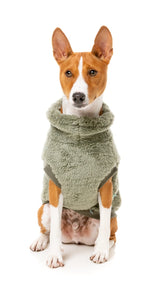 Turtle Teddy 24 Sweater - Rosemary by FuzzYard