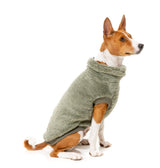 Turtle Teddy 24 Sweater - Rosemary by FuzzYard