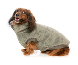 Turtle Teddy 24 Sweater - Rosemary by FuzzYard