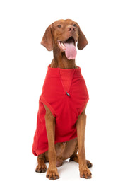 Cambridge Sweater - Red by FuzzYard