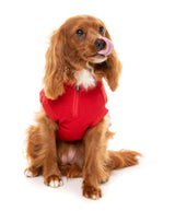 Cambridge Sweater - Red by FuzzYard