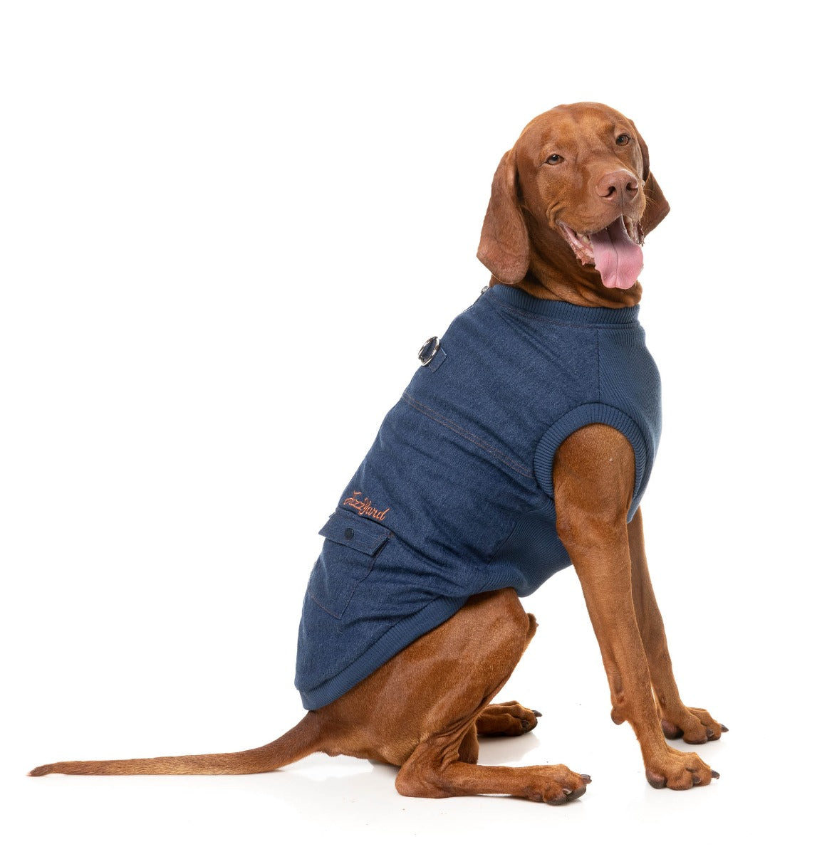 Kojima Harness Jacket - Indigo by FuzzYard