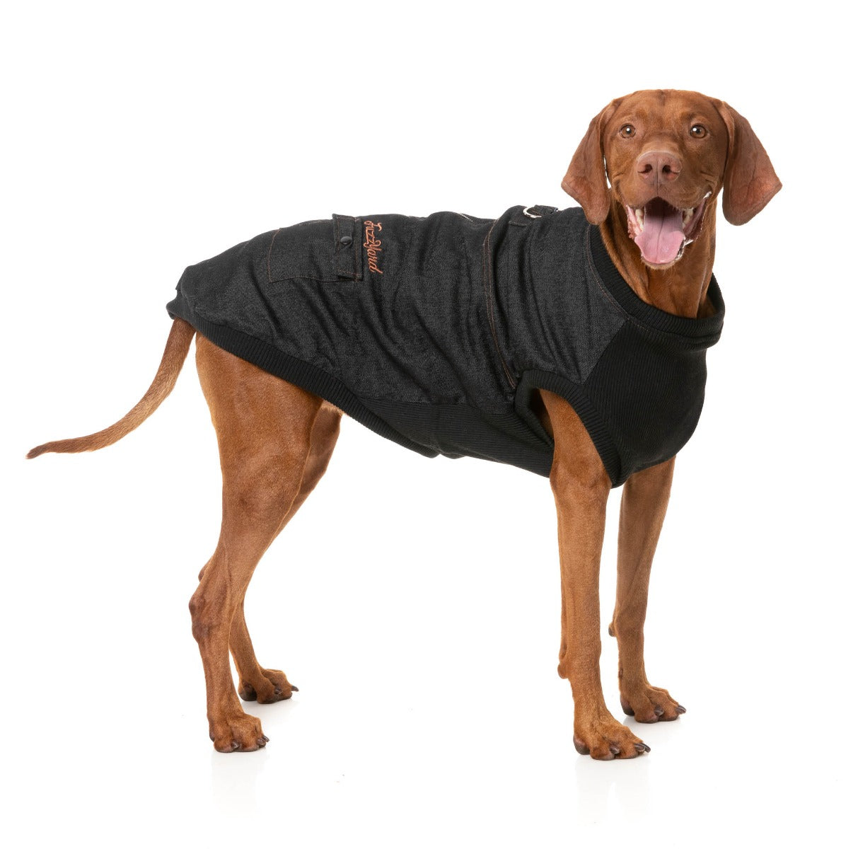 Kojima Harness Jacket - Black by FuzzYard