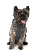 Essential Padded Jacket by FuzzYard