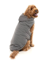 Essential Padded Jacket by FuzzYard