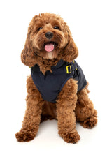 Horizon Jacket by FuzzYard