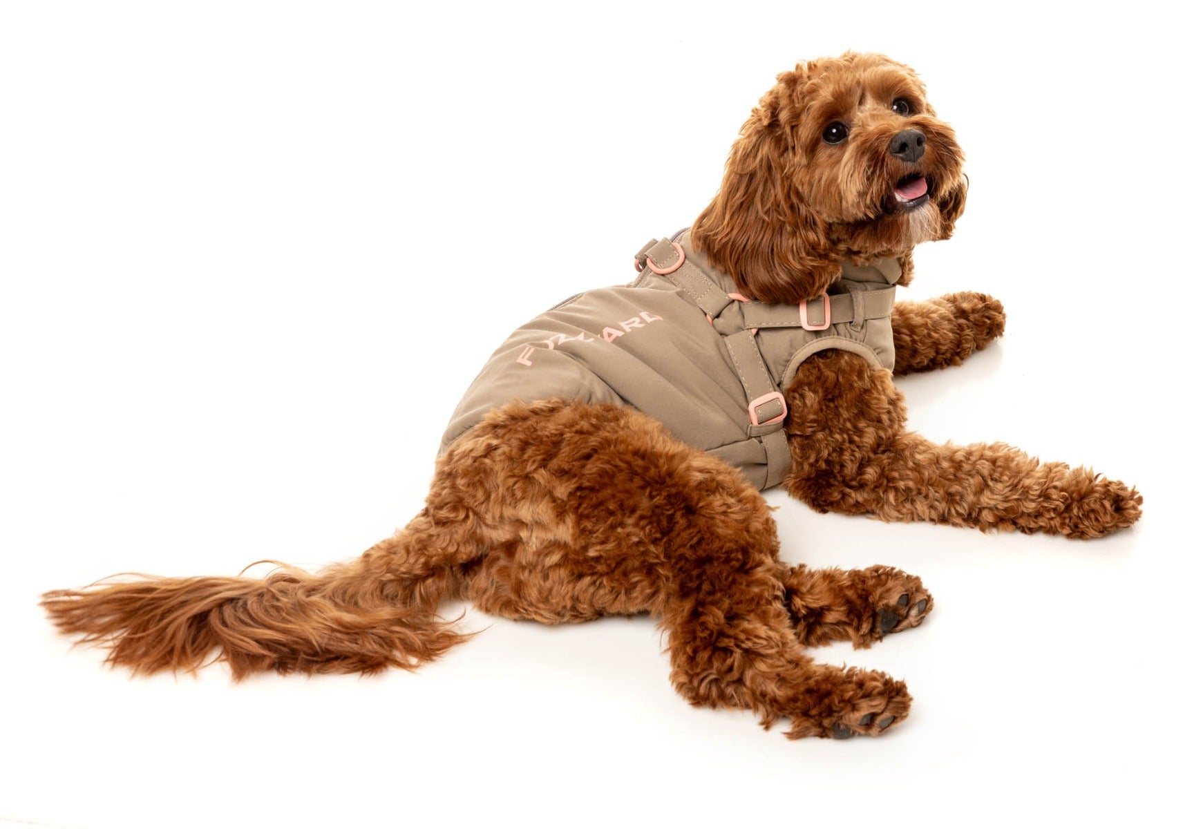 Horizon Jacket by FuzzYard