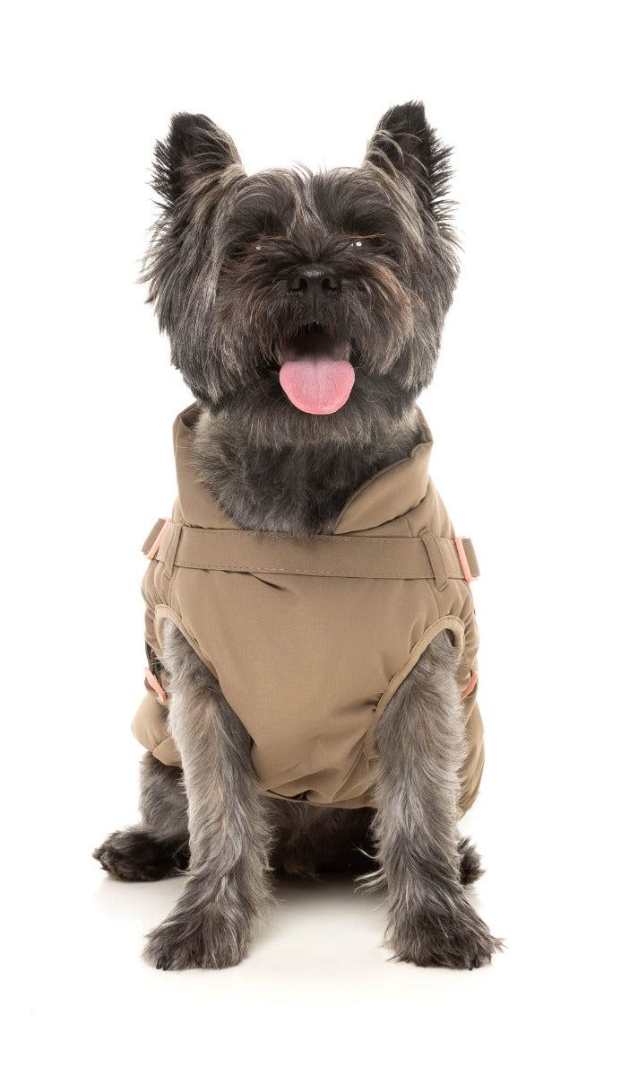 Horizon Jacket by FuzzYard