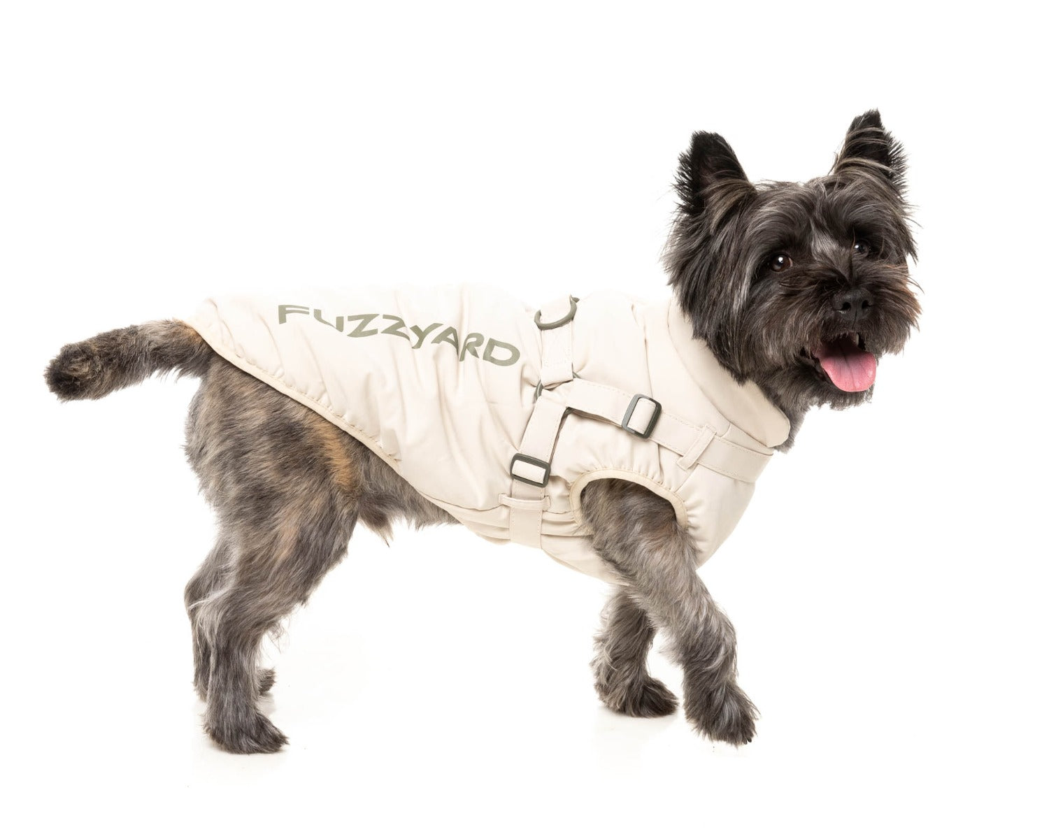 Horizon Jacket by FuzzYard