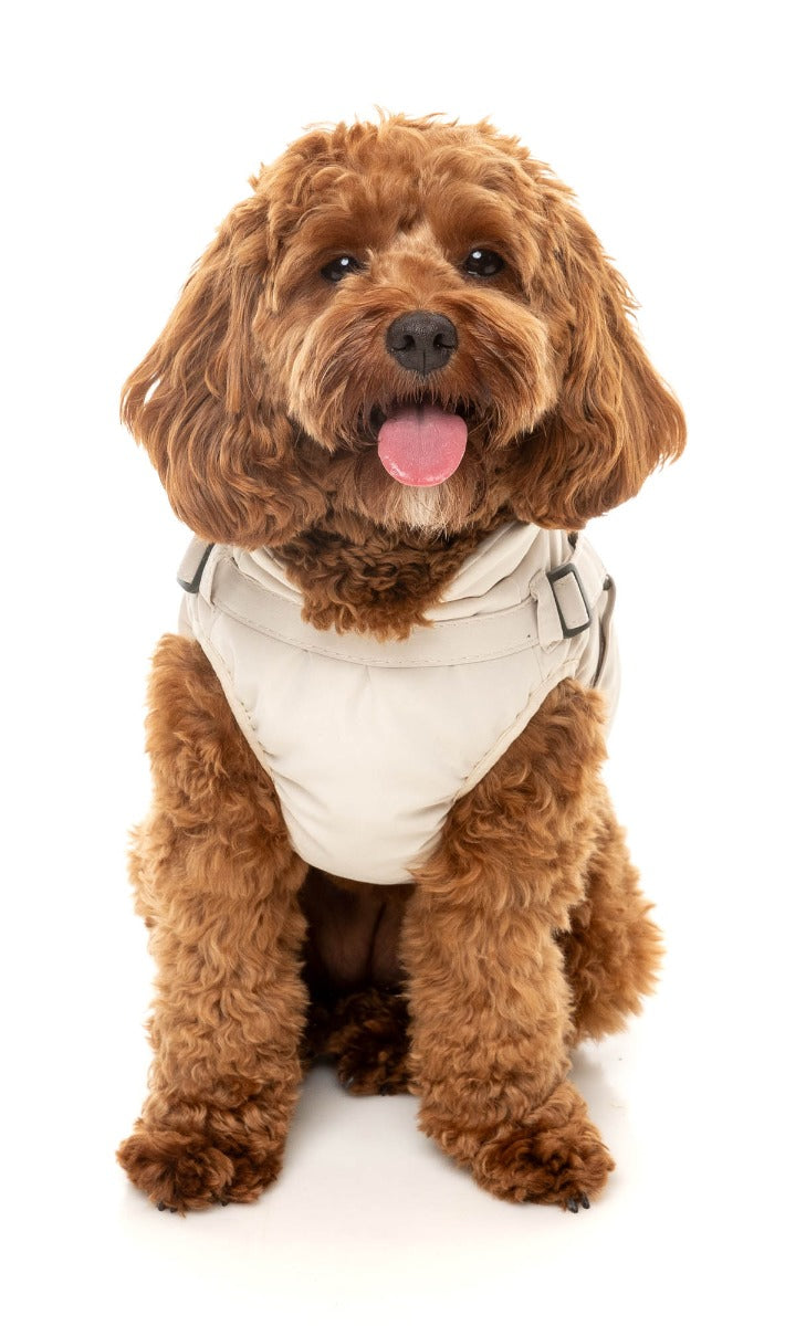 Horizon Jacket by FuzzYard