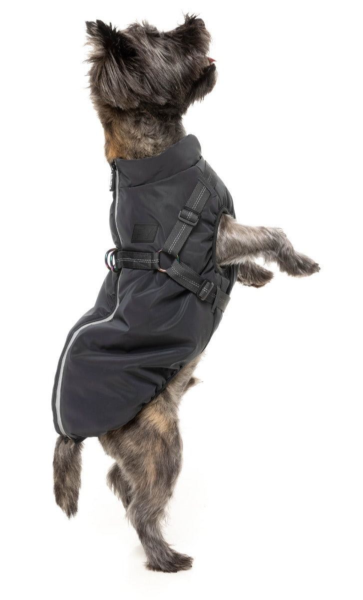 Flash Jacket by FuzzYard