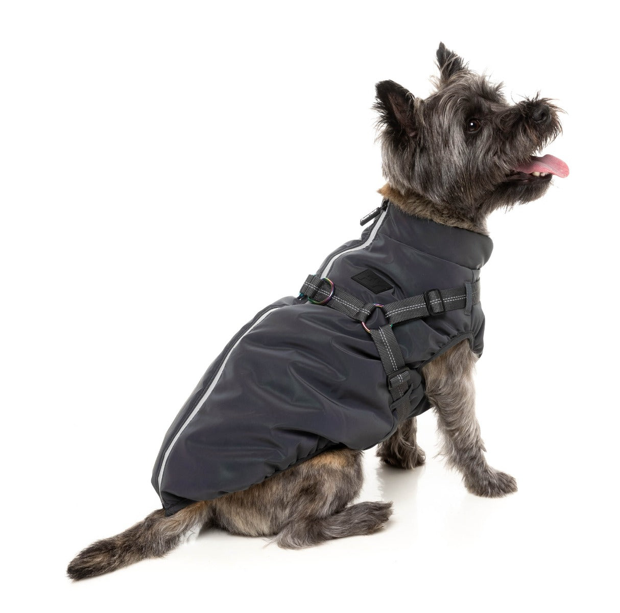 Flash Jacket by FuzzYard