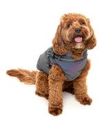 Flash Jacket by FuzzYard