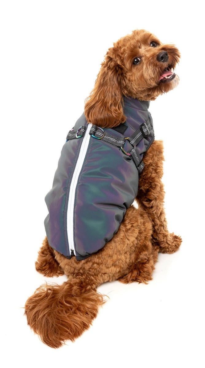 Flash Jacket by FuzzYard