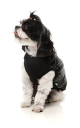 Vienna Jacket by FuzzYard