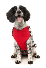 Ollie Jacket by FuzzYard