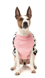 Ollie Jacket by FuzzYard